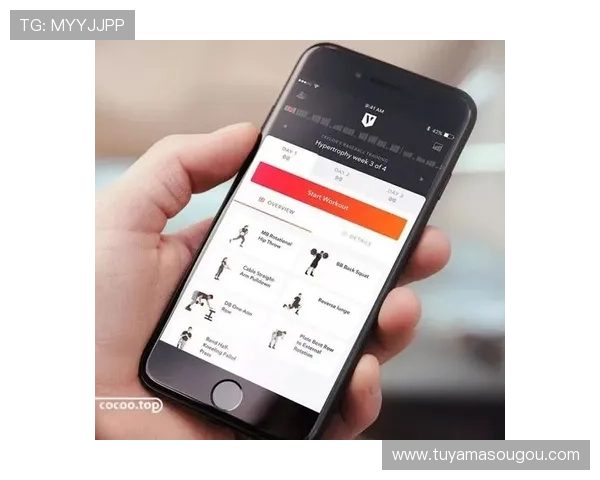 皇冠体育网站登录页面设计优化，提升用户体验与界面美观度