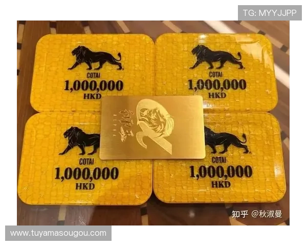 澳门十大赌厅是哪十大，详解澳门最受游客青睐的十大赌厅排名及其特色亮点