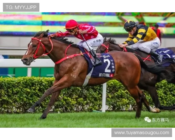 了解hkjc官方网站的赛马赔率变化及分析，提升投注决策的科学性