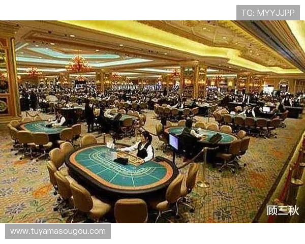 深入了解澳门十大娱乐场所,体验豪华赌场、精彩演出和丰富娱乐项目的最佳选择 深入了解澳门十大娱乐场所,体验豪华赌场、精彩演出和丰富娱乐项目的最佳选择