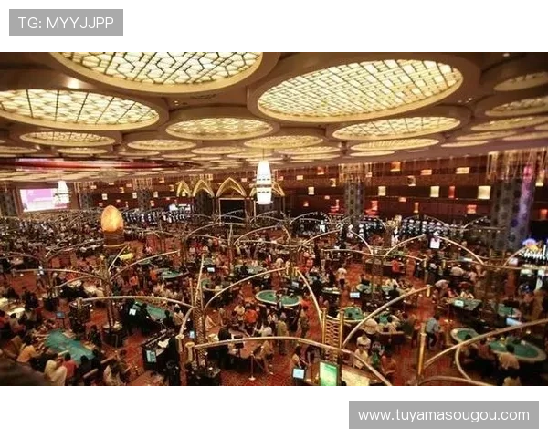 澳门合法赌场有哪些适合新手玩家入门的安全可靠选择