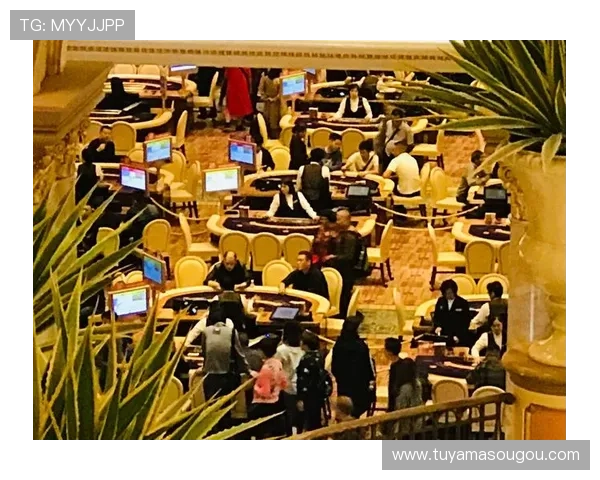 澳门彩旗舰网站提供专业的投注技巧与游戏攻略，帮助玩家提升中奖几率实现盈利