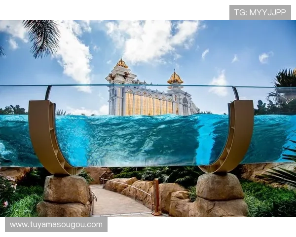 澳门银河娱乐集团有限公司在澳门旅游与娱乐产业中的核心作用与发展前景
